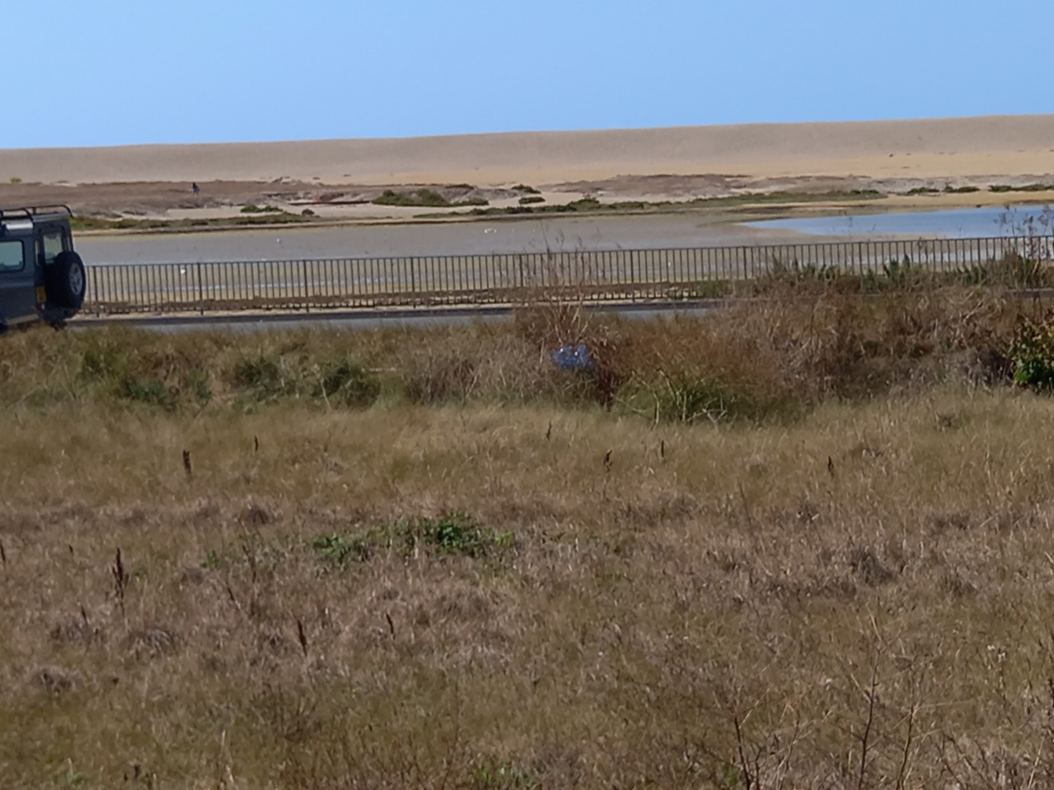 Chesil Beach from path to Portland 01