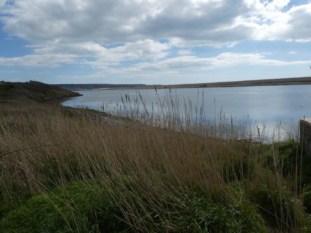 River view